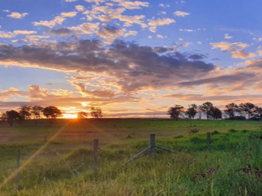 Rural Refresher Symposium 2025